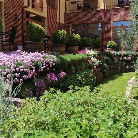 Cicov Jolan Pension & Restaurant מראה חיצוני תמונה