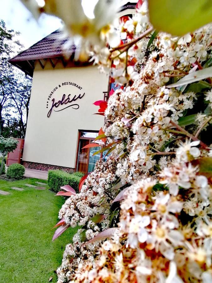 Cicov Jolan Pension & Restaurant מראה חיצוני תמונה