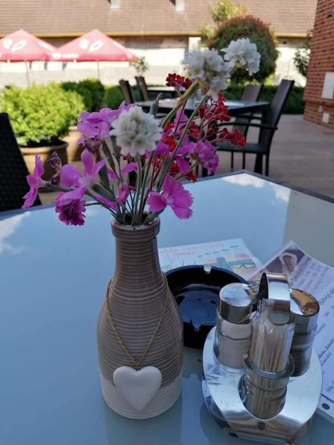 Cicov Jolan Pension & Restaurant מראה חיצוני תמונה