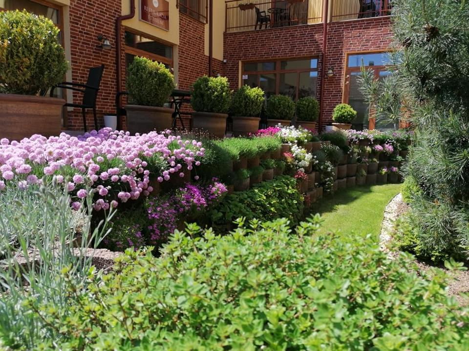Cicov Jolan Pension & Restaurant מראה חיצוני תמונה